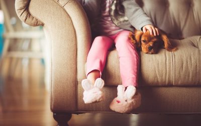 Harmonious family life with Feng Shui