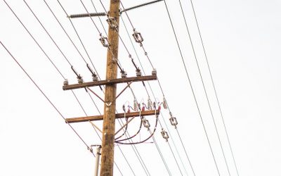 Electro-stress and Magnetic Fields