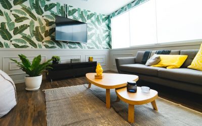 My Battle with the TV set