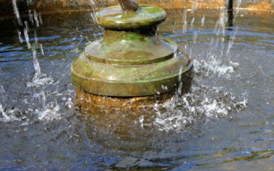 Where to put the water feature